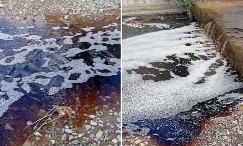 سائل أحمر يختلط بمياه بحر مرمرة قرب يالوفا.. والفحوص تحدد مصدره