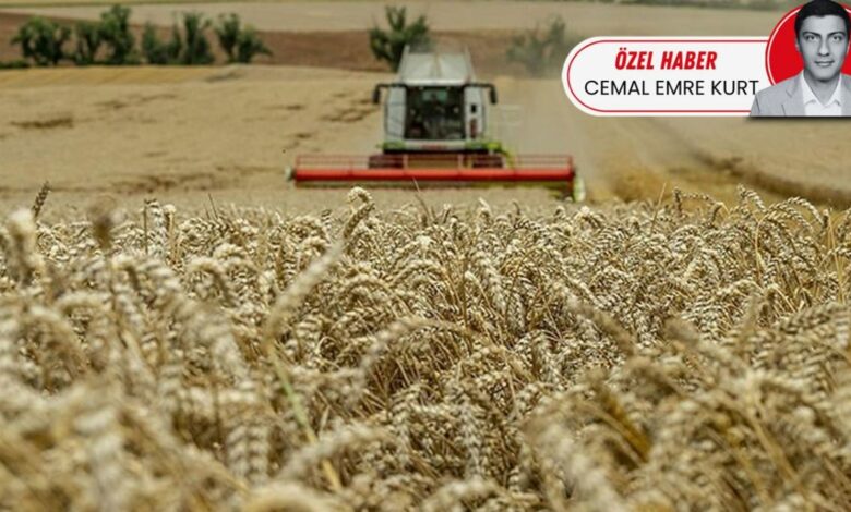دراسة تركية: سائل ناتج عن روث الأبقار والمخلفات النباتية رفع محصول القمح وتجاوز السماد المعدني في الدخل