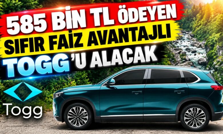 حملة Togg لشهر أكتوبر تتيح للشركات تمويلًا كاملًا للسيارات.. وهذه خيارات الأفراد