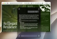 أداة مفتوحة المصدر تحذف نماذج Apple Intelligence وتحرر مساحة قد تتجاوز 12 غيغابايت