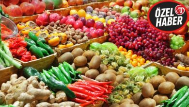 رغم تراجع أسعار المنتجين.. تركيا تغرّم منشآت الخضار والفاكهة 215.1 مليون ليرة