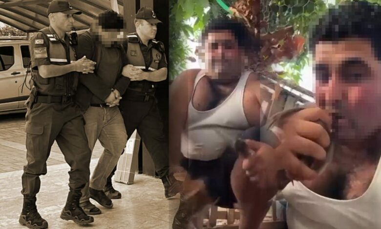 مشتبه به في أنطاليا التركية يوثق قتل طائرين بفمه وسكين ويُحال إلى القضاء