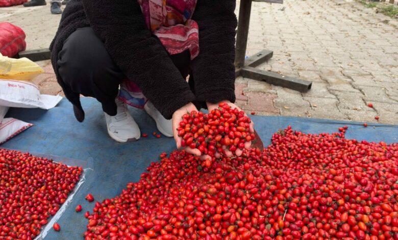 من 100 إلى 50 ليرة.. سعر منتج في تركيا يهبط إلى النصف خلال عام من دون كشف اسمه
