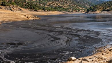 أمطار ما بعد حريق بورغوهوندو تحوّل مياه الشرب إلى الأسود وتدفع الرماد نحو سد أكبر