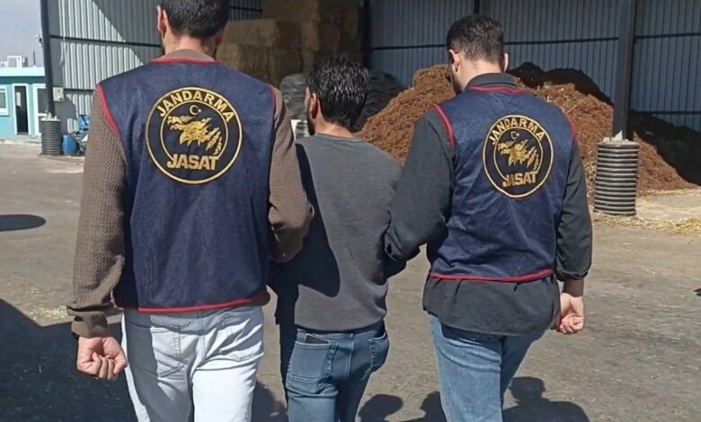 تسجيلات بفارق 3 ثوانٍ تقود إلى توقيف مشتبه به في حادث وفاة بمانيسا بعد 10 سنوات