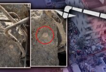 انهيار مبنى في إسطنبول يودي بحياة 5 أشخاص.. قوقعة بحرية داخل أحد الأعمدة