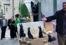 سكان حي في بورصة يحتجون على روائح ونباح مزرعة كلاب.. ومالكها يرفض نقلها