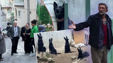 سكان حي في بورصة يحتجون على روائح ونباح مزرعة كلاب.. ومالكها يرفض نقلها
