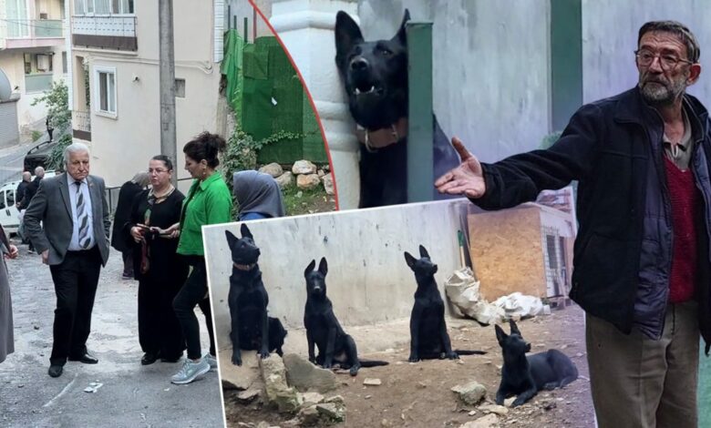 سكان حي في بورصة يحتجون على روائح ونباح مزرعة كلاب.. ومالكها يرفض نقلها