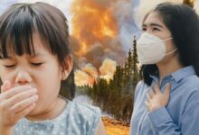 حرائق إندونيسيا تدفع سنغافورة إلى صدارة المدن الأسوأ هواءً وتغلق مدارس ماليزيا