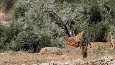 9 جرحى في هجوم على قاطفي الزيتون بالضفة.. والغاز طال طاقم الإسعاف