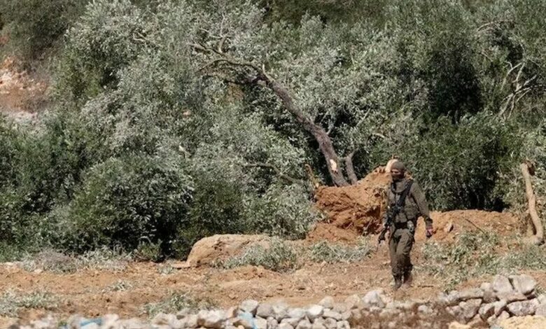 9 جرحى في هجوم على قاطفي الزيتون بالضفة.. والغاز طال طاقم الإسعاف