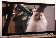 رغم سطوع يتجاوز 4000 شمعة.. لماذا لم يبرر تلفاز إل جي Micro RGB سعره؟