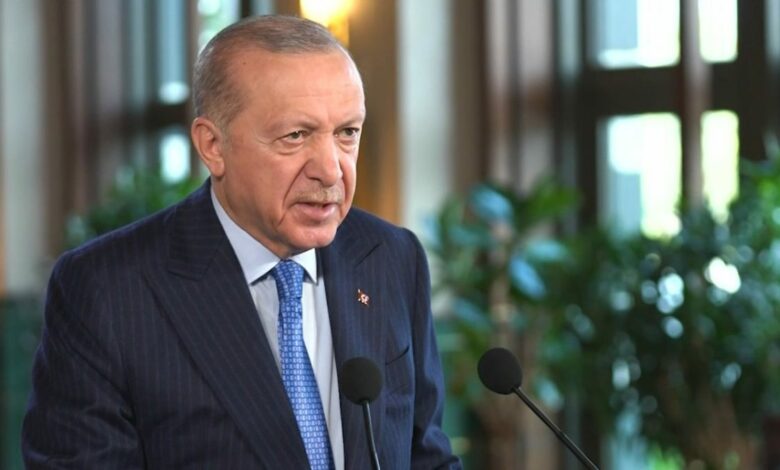 أردوغان يتعهد بدعم أتراك الخارج ويرد على وصفهم بـ«زيرزوب»: «لن نتركهم»