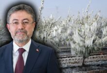 تركيا توسّع تأمين الصقيع إلى 25 محصولًا.. وتتيح تأمين العجول من يومها الأول
