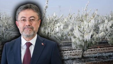تركيا توسّع تأمين الصقيع إلى 25 محصولًا.. وتتيح تأمين العجول من يومها الأول