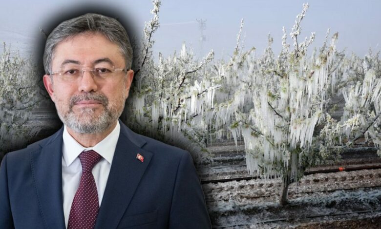 تركيا توسّع تأمين الصقيع إلى 25 محصولًا.. وتتيح تأمين العجول من يومها الأول