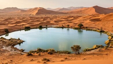 اكتشاف خزانين جوفيين كبيرين تحت صحراء تكلامكان.. مياههما المالحة قد تخدم الزراعة والذكاء الاصطناعي