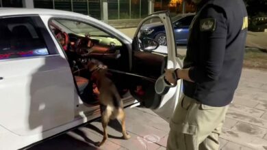 110 آلاف حبة كبتاغون مخبأة في سيارة بأضنة.. والمتهم: لا علم لي بها