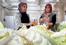 مخلل الملفوف في آغري التركية يحتفظ بصلابته بعد نحو شهر في البراميل