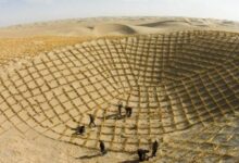 بعد 50 عامًا من «رقعة الشطرنج».. الصين تقلّص الأراضي المتصحرة في الشمال