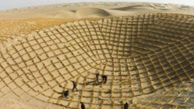 بعد 50 عامًا من «رقعة الشطرنج».. الصين تقلّص الأراضي المتصحرة في الشمال