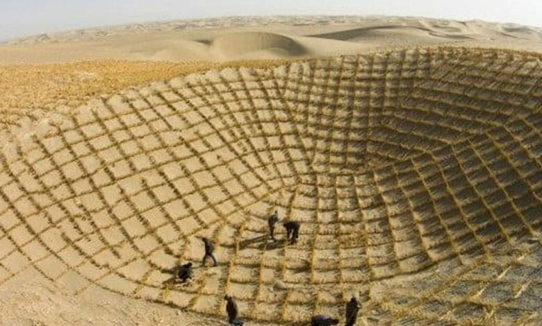بعد 50 عامًا من «رقعة الشطرنج».. الصين تقلّص الأراضي المتصحرة في الشمال