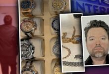 اعتقال مطلوب دوليًا في احتيال العملات المشفرة بإسطنبول.. 600 ألف دولار وأسلحة في منزله