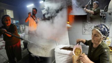سبعينية في إلازيغ بدأت بإعالة 9 أبناء على صاج ساخن.. واليوم تنتج 100 طن من حمص أغين