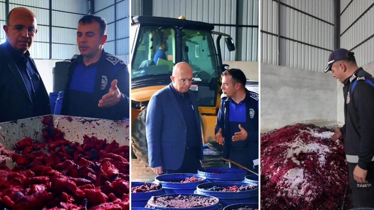 مستودع في هاتاي ينتج معجون الطماطم وسط ظروف غير صحية.. وإتلاف المنتجات في الموقع