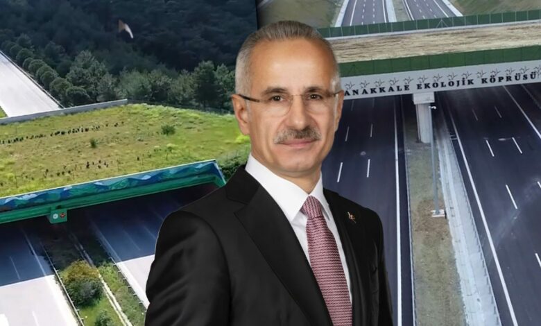 تركيا تنجز 21 جسرًا بيئيًا لحماية الحياة البرية.. أحدها الأول عالميًا على خط قطار فائق السرعة