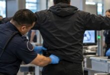أخفى 10 طيور في 6 أنابيب داخل ملابسه بمطار ميامي.. وبعد يومين ظهرت محاولة مماثلة