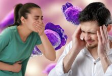 رصد أميبا «آكلة الدماغ» يغلق 6 بحيرات في ميريدا المكسيكية.. والحدائق تبقى مفتوحة