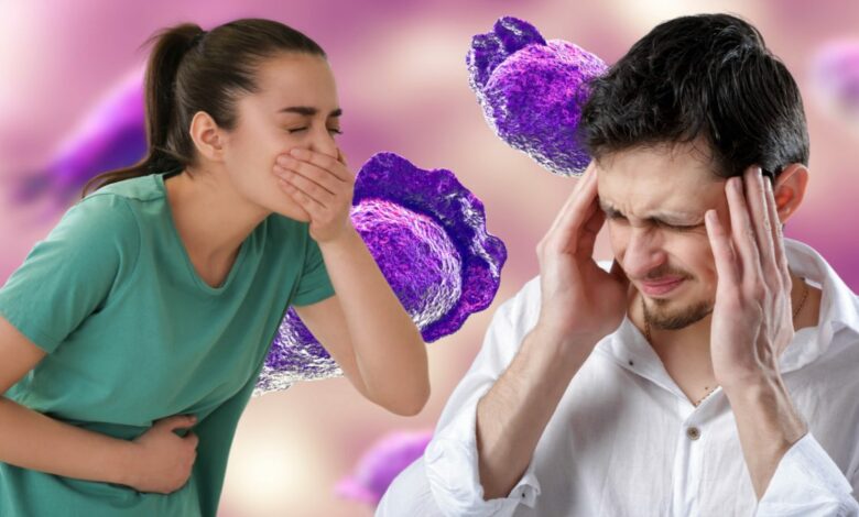 رصد أميبا «آكلة الدماغ» يغلق 6 بحيرات في ميريدا المكسيكية.. والحدائق تبقى مفتوحة