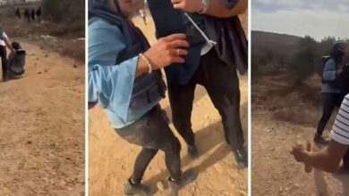 هجوم مستوطنين على مصوّرة أمريكية خلال حصاد الزيتون.. وأشجار تحترق