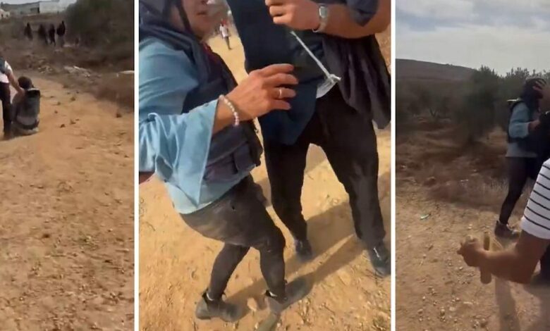 هجوم مستوطنين على مصوّرة أمريكية خلال حصاد الزيتون.. وأشجار تحترق
