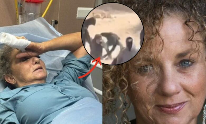 مستوطنون يركلون مصورة «واشنطن بوست» 10 دقائق ويسلبون معداتها خلال تغطية حصاد الزيتون
