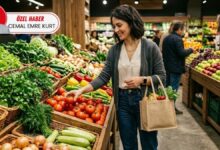 الليمون يُباع في تركيا بـ7.3 أضعاف سعره لدى المنتج.. 75% من كلفة الغذاء تتشكل بعد الحقل