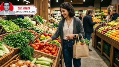 الليمون يُباع في تركيا بـ7.3 أضعاف سعره لدى المنتج.. 75% من كلفة الغذاء تتشكل بعد الحقل