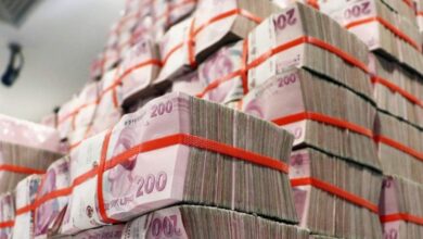تركيا تمنح 95 مشروعًا زراعيًا 1.2 مليار ليرة.. والاستثمارات المتوقعة تتجاوز قيمة الدعم
