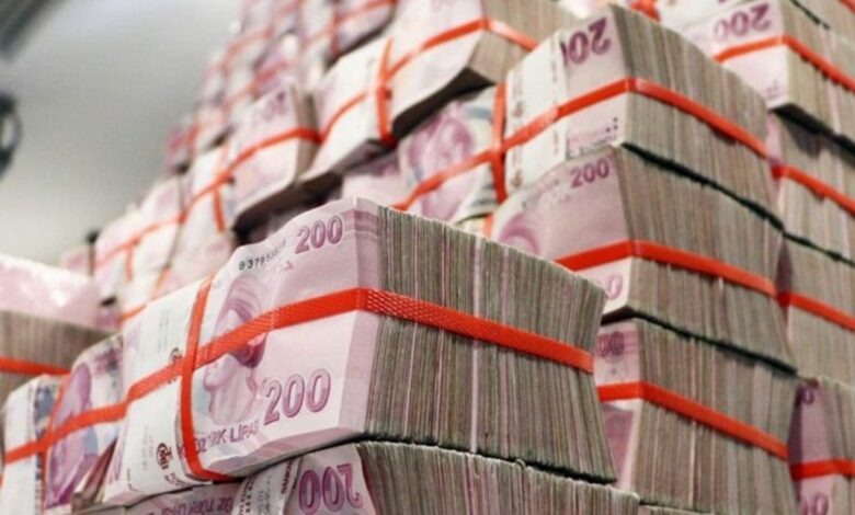 تركيا تمنح 95 مشروعًا زراعيًا 1.2 مليار ليرة.. والاستثمارات المتوقعة تتجاوز قيمة الدعم
