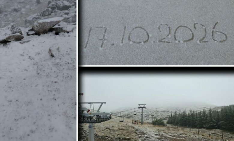 ثلوج مبكرة تكسو مرتفعات غرب تركيا.. رعاة يفاجَؤون وسمكها يبلغ 10 سنتيمترات