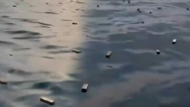 غرق سفينة حاويات في مضيق هرمز يبعثر حمولتها.. وصيادون ينتشلون صناديق آيفون من البحر