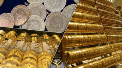 Nouriel Roubini يفضّل الذهب ويحذّر من تقلب Bitcoin وتقييمات الذكاء الاصطناعي