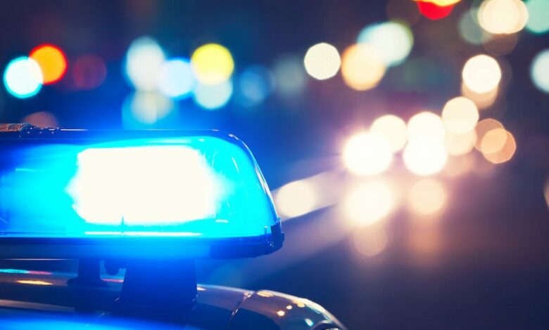 اعتداء على شاب قبرصي تركي في ليماسول.. والتحقيق يتجه إلى سرقة كلاب صيد