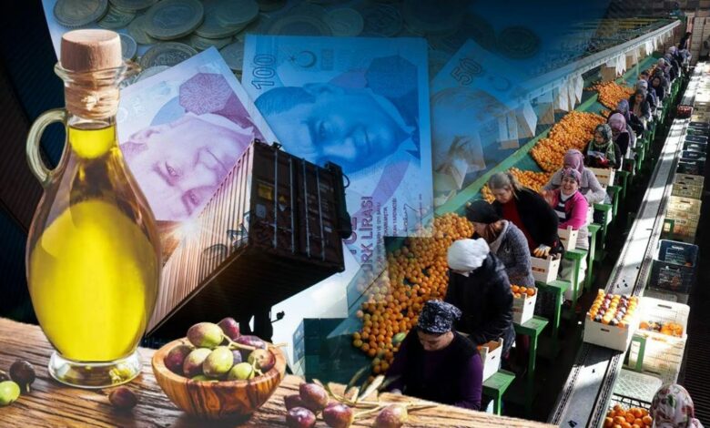 صادرات تركيا تسجل مستويات قياسية.. لماذا تراجع الزيتون وزيته 28%؟