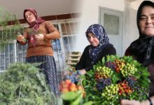 تُنسج في المنازل وتُصدّر بالكامل.. أكاليل بوردور تدرّ مليوني يورو سنويًا