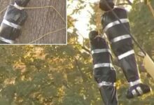 مالك منزل في بنسلفانيا يرفض إزالة «جثث» معلّقة لزينة الهالوين بعد اعتراضات ربطتها بإعدامات عنصرية
