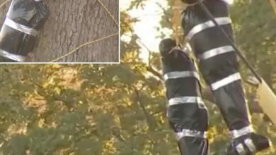 مالك منزل في بنسلفانيا يرفض إزالة «جثث» معلّقة لزينة الهالوين بعد اعتراضات ربطتها بإعدامات عنصرية