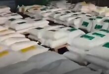 ضبط 7.6 طن من الكوكايين في ميناء كولومبي بعد مزجها بالسكر البني لإخفائها عن كلاب الكشف والأشعة